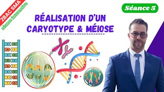 5 Réalisation d’un caryotype Méiose séance interactive [upl. by Rosemonde872]