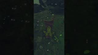 Zelda Breath of the Wild Find the Korok Seed Akkala Lab [upl. by Ettenal]