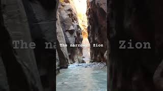 The Narrows Zion national park [upl. by Neehsas729]