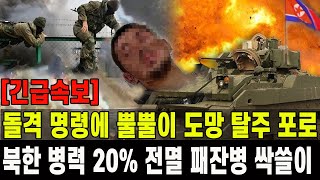 긴급속보 북한 병력 20 전멸 패잔병까지 싹쓸이 3일간 200명 사망돌격 명령에 뿔뿔이 도주 탈출 포로 급증 [upl. by Akitan]