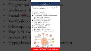 Cranial Nerves  Anatomy  by Imran Yaseen [upl. by Nnayhs]