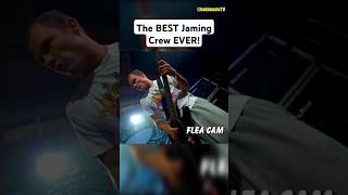 Legendary Jam by Chad amp Flea 😲 redhotchilipeppers rhcp chadsmith flea [upl. by Kyrstin13]