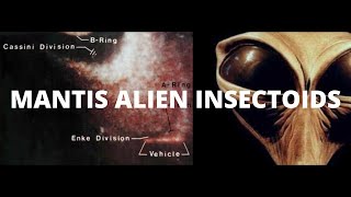 Mantis Alien Insectoids  Secret History Ringmakers amp Hybrid Colonization [upl. by Analra]