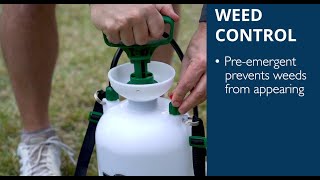 How to Control Weeds in Your Zoysia Lawn During the Spring Season [upl. by Lutero]