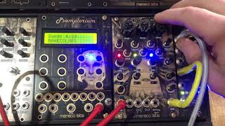 Manecolabs Holistic Delay [upl. by Townshend]