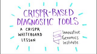 CRISPRBased Diagnostic Tools  A CRISPR Whiteboard Lesson [upl. by Nauqyaj614]