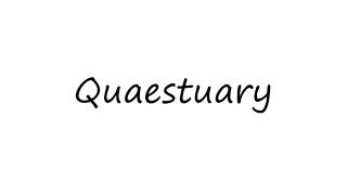 How to Pronounce Quaestuary [upl. by Aymer443]