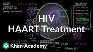 HAART treatment for HIV  Who what why when and how  NCLEXRN  Khan Academy [upl. by Sinnel]