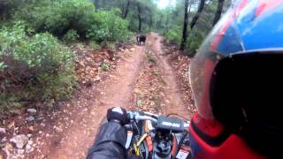 CanAm ds 450 GOPRO on Helmet [upl. by Adnala]