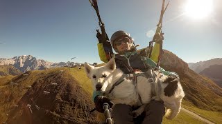 Paragliding se psem  Marvel na cestách [upl. by Wilkins]