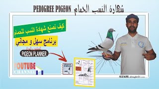 كيف تصنع شهادة نسب للحمام ببرنامج مجاني وسهل  pigeon planner [upl. by Ardnuaek]