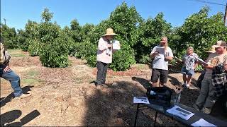 Avocado trees as efficient factories with Mary Lu Arpaia [upl. by Pedrick]