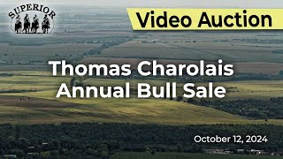 Thomas Charolais Annual Bull Sale [upl. by Chere227]