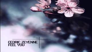 Cedric Zeyenne  Feel You Original Mix [upl. by Ralleigh]