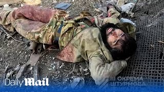 Two Ukraine soldiers capture wounded Russian major near Bakhmut [upl. by Wivinah216]