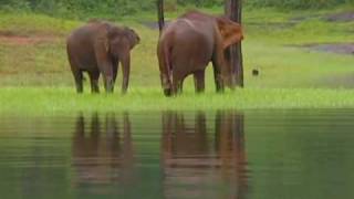 Thekkady Tourist Destination [upl. by Tiffie]