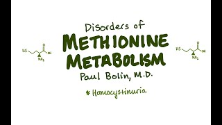 Methionine CycleHomocystinuria  CRASH Medical Review Series [upl. by Girish]