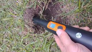 HARBOR FREIGHT NINE FUNCTION METAL DETECTOR SUNPOW MD08 PINPOINTER REVIEW [upl. by Jeniffer]