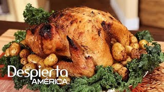 Receta de pavo adobado para Thanksgiving  Cocineros Latinos [upl. by Anilrahc]