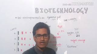 Separation and isolation of DNA by gel electrophoresiswith tricks for NEET AIIMS JIPMER [upl. by Jerold905]