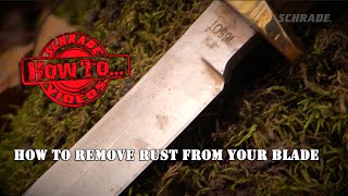 How To Remove Rust From a Knife Blade [upl. by Eniarol]