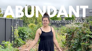 Ep 4  Abundant homestead garden this Summer [upl. by Addis]