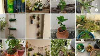 Zero budget gardening🤩 best out of waste waste material garden ideas🤩  reuse of waste material 💡 [upl. by Hnirt]