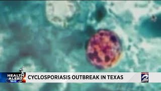 Cyclosporiasis outbreak in Texas [upl. by Artemed]