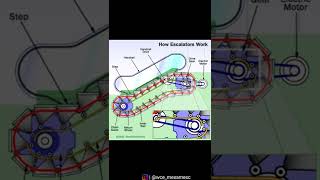 How does an escalator work  Simplified explanation [upl. by Yrad]