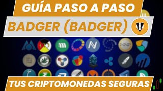 Compra Badger DAO BADGER de la forma Más Segura Posible  Invertir en Badger con Bitvavo [upl. by Allayne]