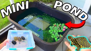 DIY MINI 75gal TURTLE PATIO POND and BABY TURTLES [upl. by Duyne]