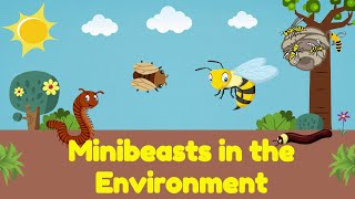 Minibeasts in the Environment Science for Kids  PrimaryWorld [upl. by Yerak620]