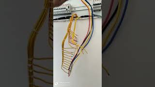 Nurul Electrical work I dp wiring dressing electrician shortvideo shorts wiring [upl. by Minton308]