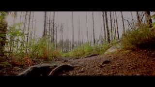 National Park Repovesi Finland The hike [upl. by Akerue]