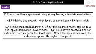 A Level Biology  5152  Controlling Plant Growth [upl. by Afital]