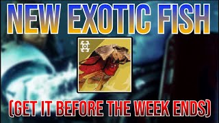 Destiny 2 Another NEW EXOTIC FISH Is Now Available Get It BEFORE The Week Ends Vexing Placoderm [upl. by Yellhsa]