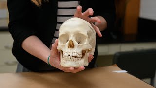 How forensic anthropologists identify human remains [upl. by Flodur669]