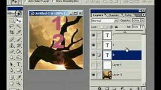 Photo shop layers beginner [upl. by Ion]