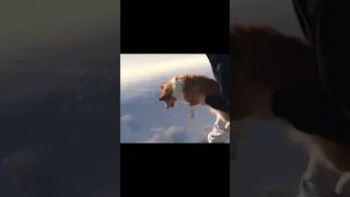 A dog taking flight in the vast expanse of the skydog shorts flyhigh cute fail [upl. by Enellek]