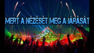 Mert a nézését meg a járását  Remix [upl. by Seugirdor648]