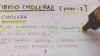 Vibrio cholerae part 2  Microbiology  Handwritten notes [upl. by Evered645]