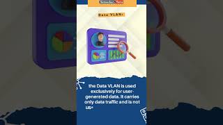 Explaining Difference Types of VLAN  networkershome [upl. by Daph]