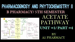 Acetate pathway unit 1 part4 pharmacognosy 5th sem [upl. by Nodrog]