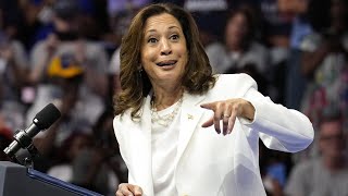 ‘The joy campaign has sputtered out’ Kamala Harris having a ‘hard time’ sealing the deal [upl. by Litton684]