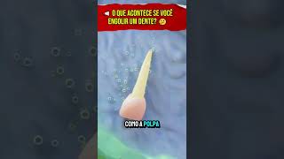 📢 O Que Acontece se Você Engolir um Dente 🤔 curiosidades fatosecuriosidades [upl. by Aihsenad134]