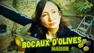 27  COMMENT FAIRE DES OLIVES EN SAUMURE MAISON  YTB27mp4 [upl. by Catherin631]