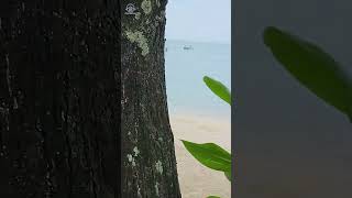 Santhiya Koh Yao Yai Resort amp Spa [upl. by Nnyliram]