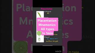 Biology mnemonics placentation neet25 neet2025 neetbiology tricks neet neetpreparation [upl. by Vetter]