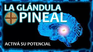 LA GLÁNDULA PINEAL  Activala y desatá todo tu potencial ⚡ [upl. by Ahsim292]