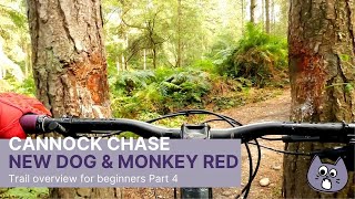 Cannock Chase Follow The Dog and Monkey Trails 2021 Pt4 [upl. by Marlee]